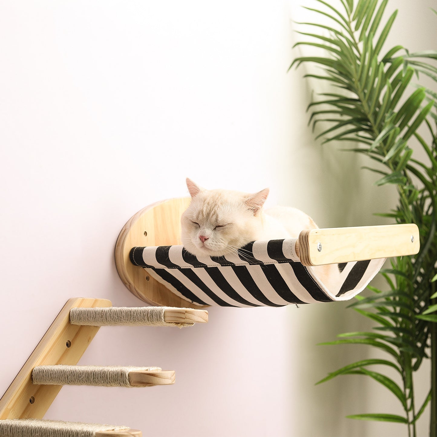 Wall Cat Hammock