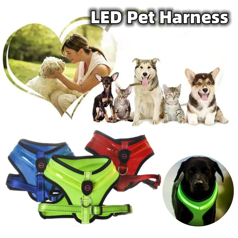 Led USB Charging Dog Harness