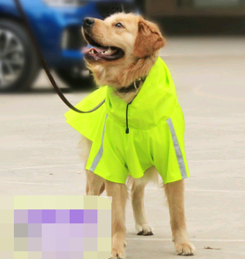 Dog Reflective Raincoat