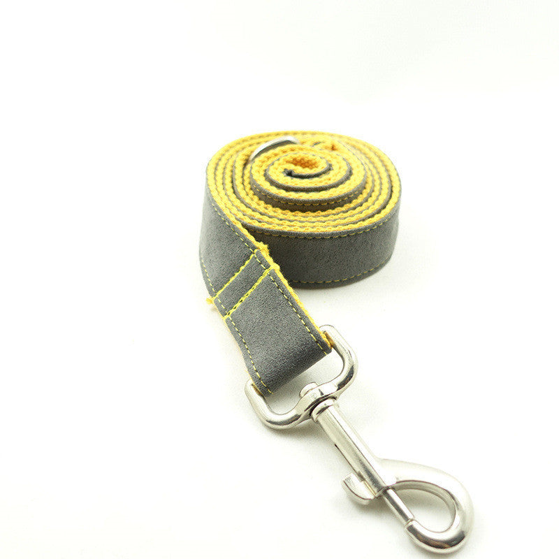 Dog Grey And Yellow Leash