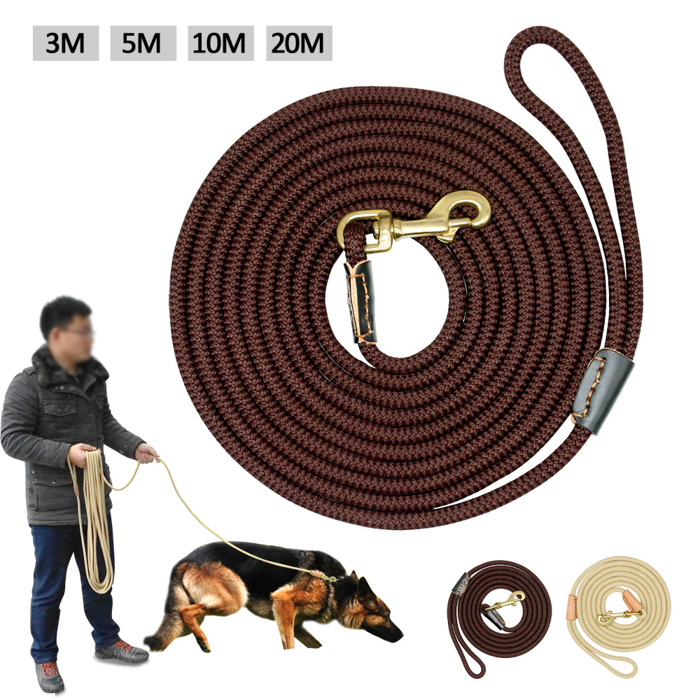 Dog Long Training Belt