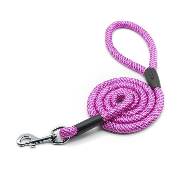 Dog Black And Pink Rope