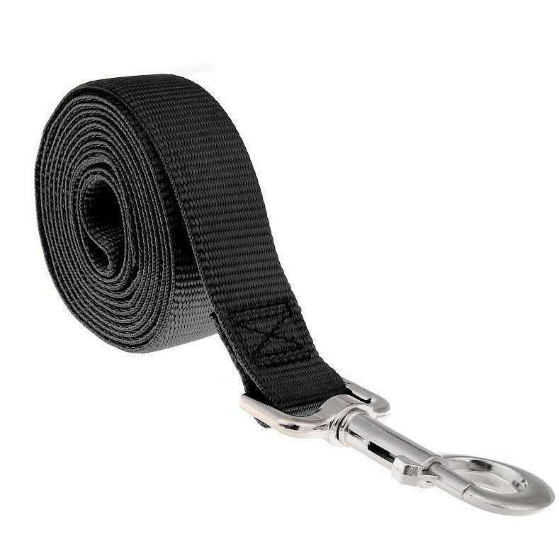 Pet Long Leash