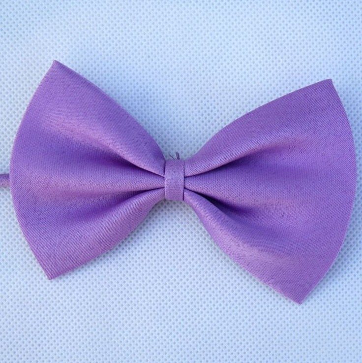 1 Piece Adjustable Pet Neck Bow Tie