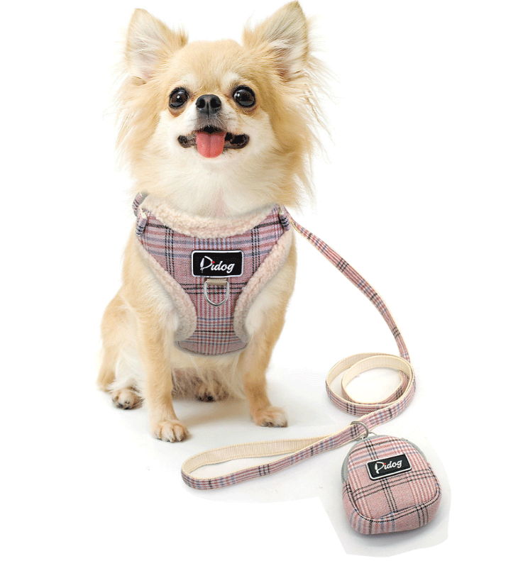 Small Harness Set with Leash and Bag