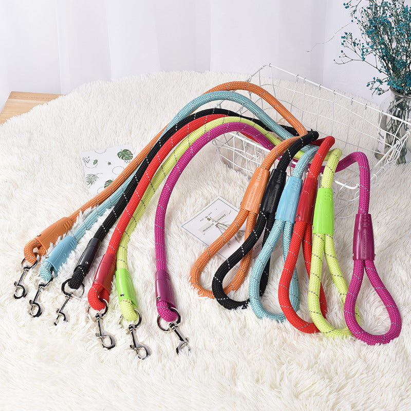 Colourful Dog Leash