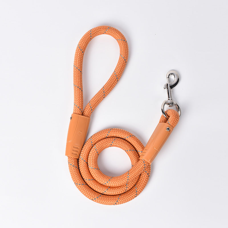 Colourful Dog Leash