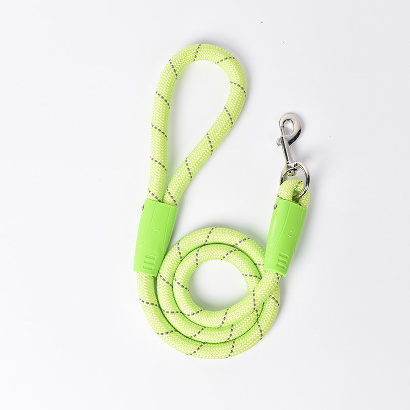 Colourful Dog Leash