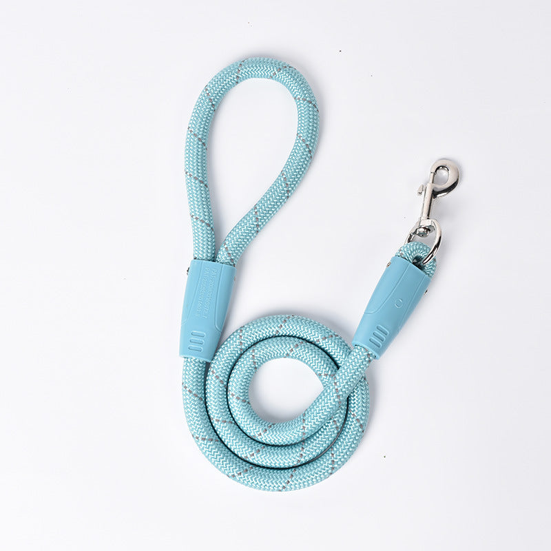 Colourful Dog Leash