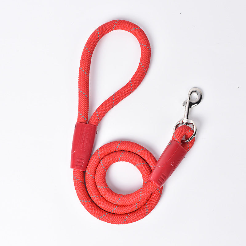 Colourful Dog Leash