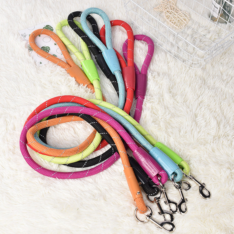 Colourful Dog Leash