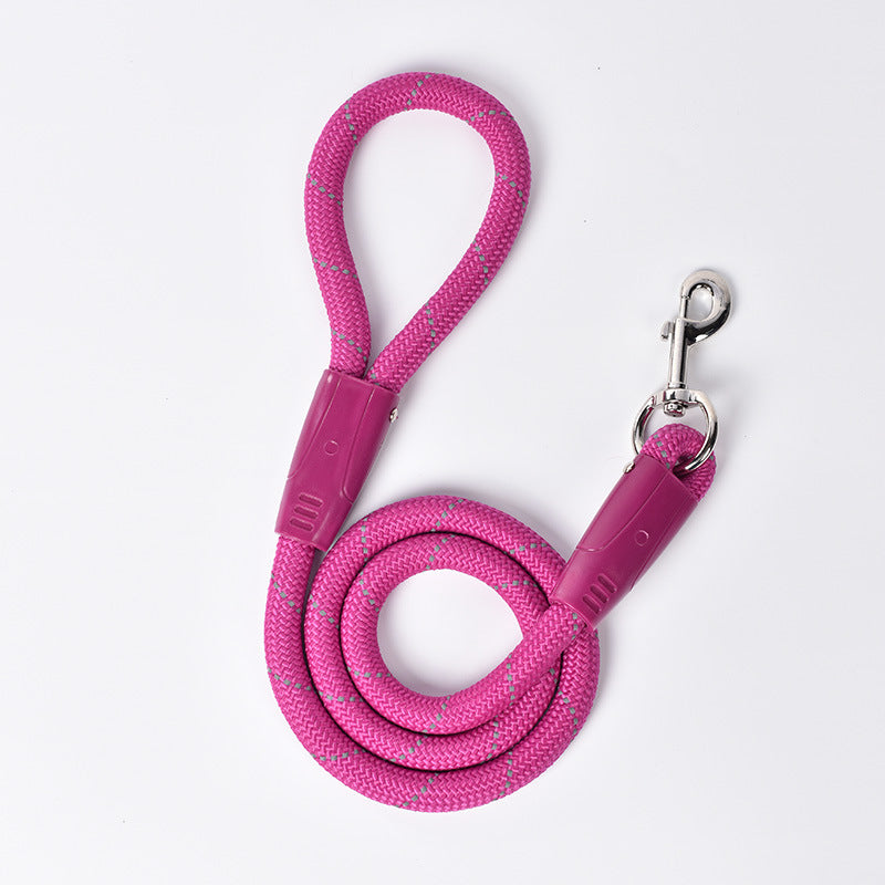 Colourful Dog Leash