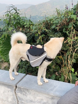 "Doggles EX Extreme" Backpack