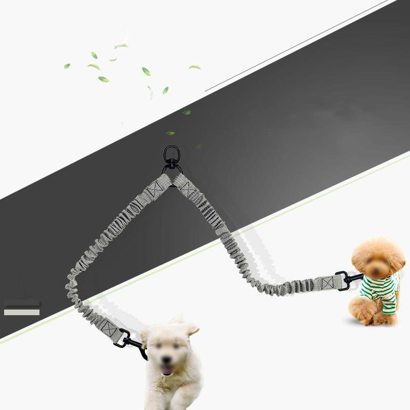 Pet telescopic double-headed lead