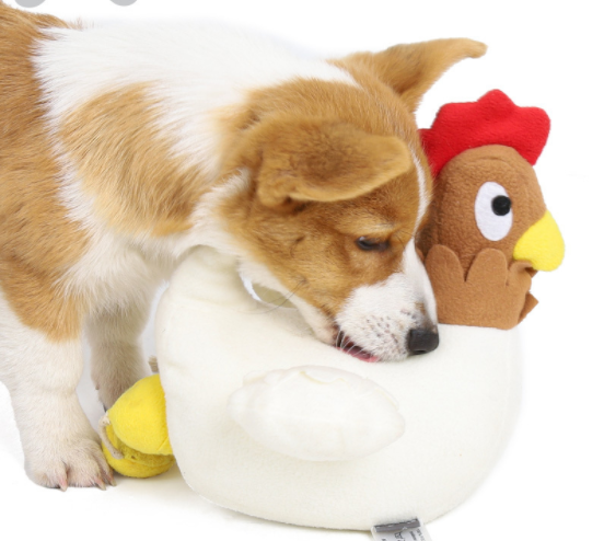 Chicken Hidden Food Toy