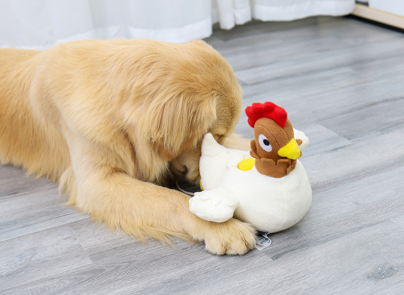 Chicken Hidden Food Toy