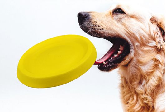 Dog Yellow Throwing Toy