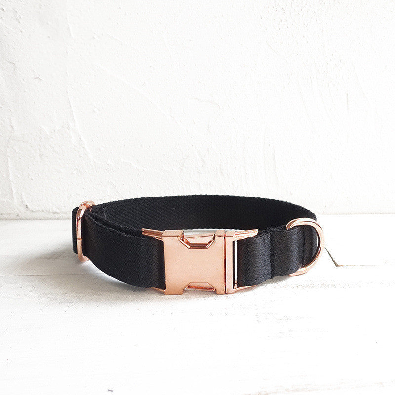 Stylish Black Dog Collar and leash