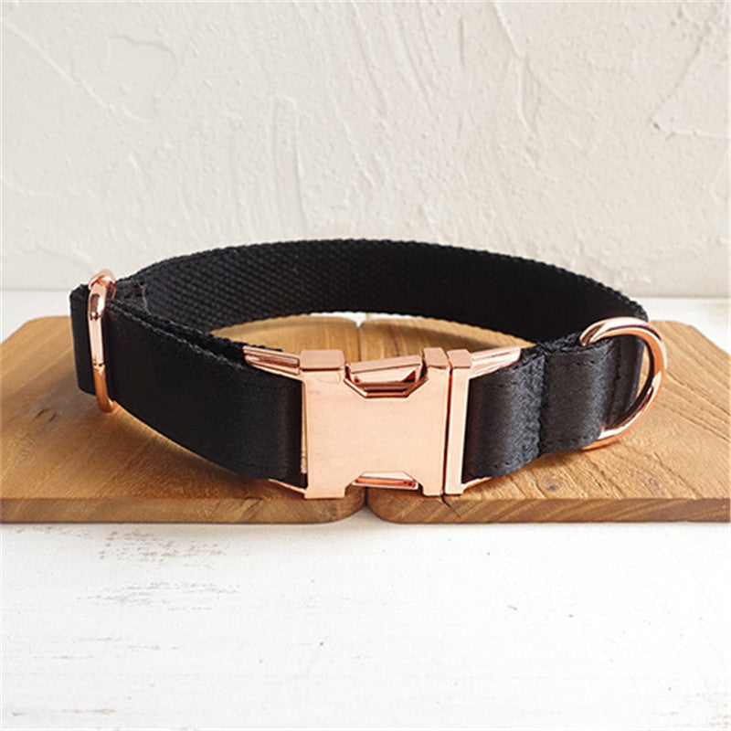 Stylish Black Dog Collar and leash