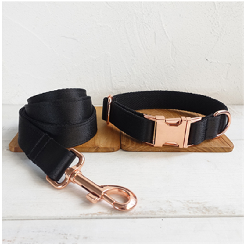 Stylish Black Dog Collar and leash