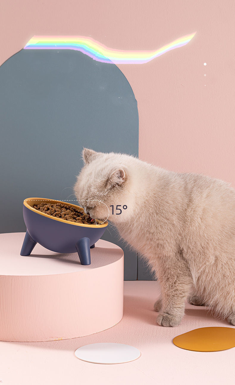 Stylish Cat & Dog Bowl