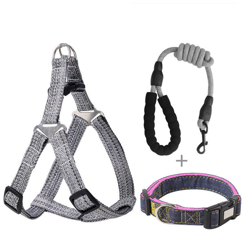 Dog Rope & Harness