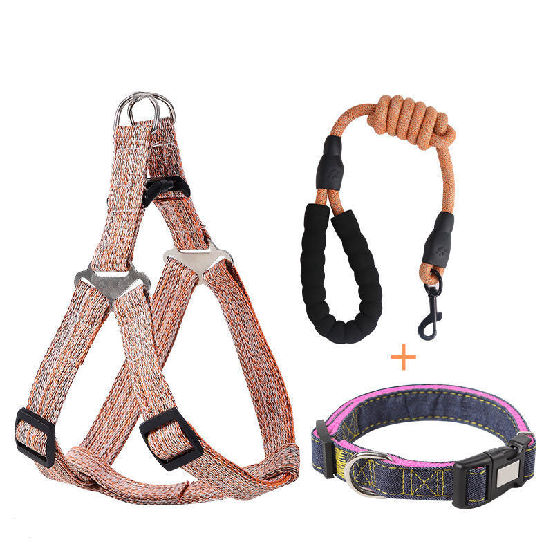 Dog Rope & Harness