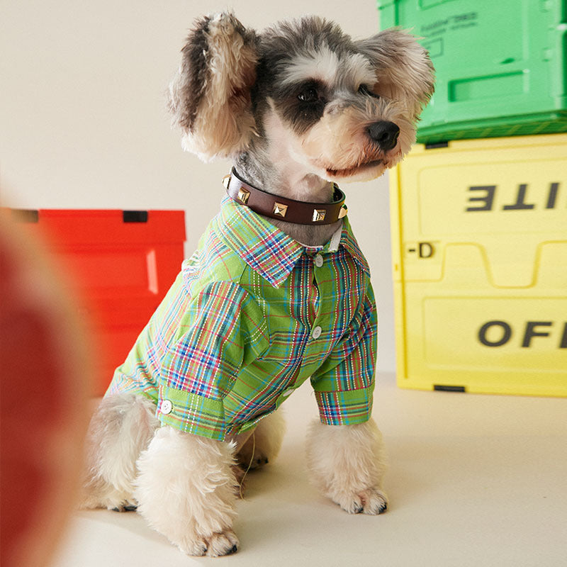 Dog Green Shirt/Vest