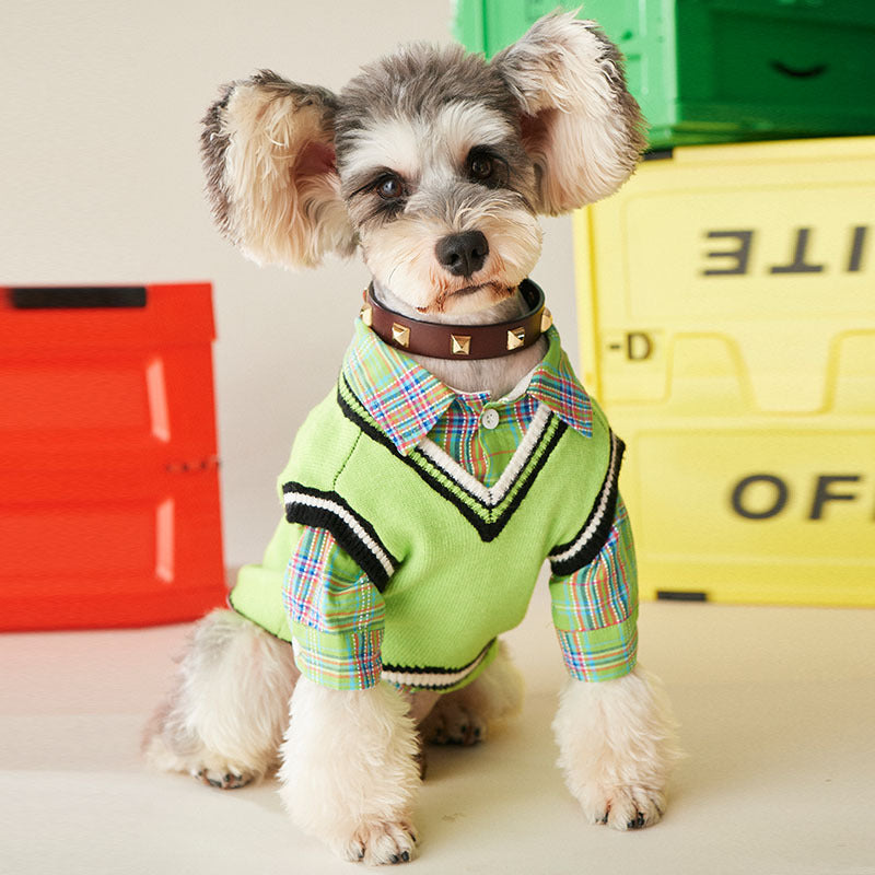 Dog Green Shirt/Vest