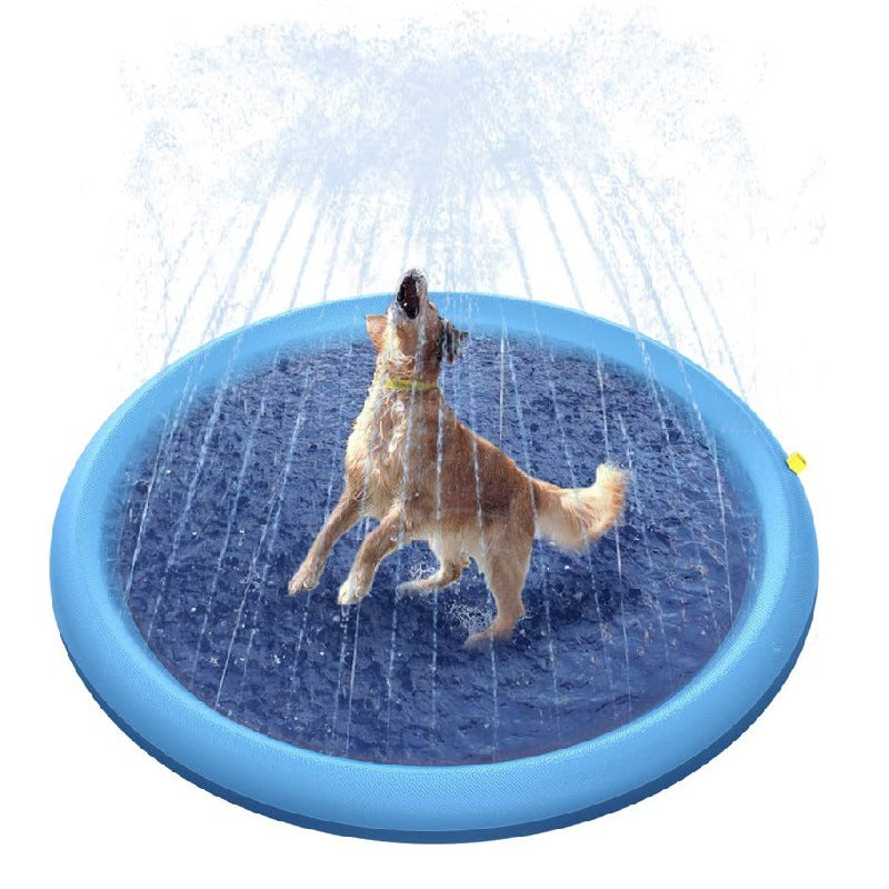 Dog Fun Summer Pool