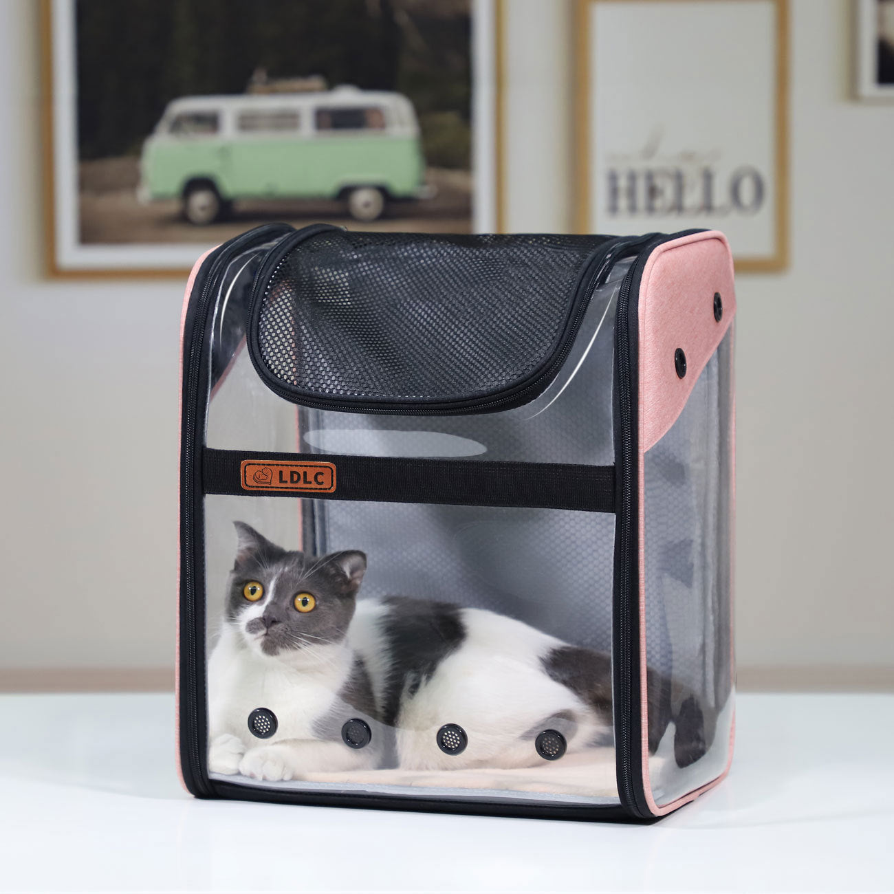 PVC Breathable Pet Backpack