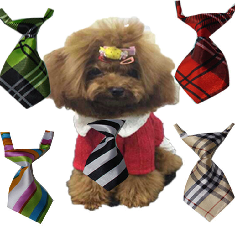 Colorful Pet Ties