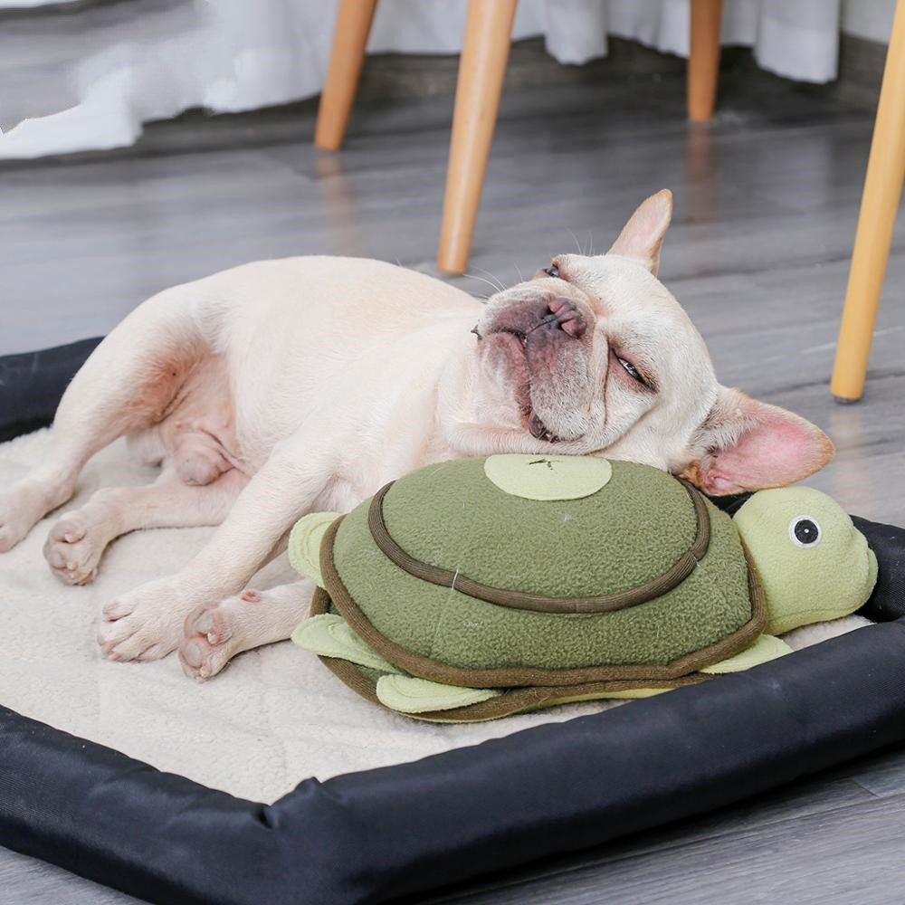 Hide A Toy - Turtle Dog Plush