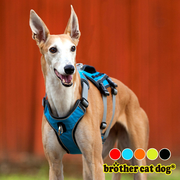 Dog Harness Multi-Color