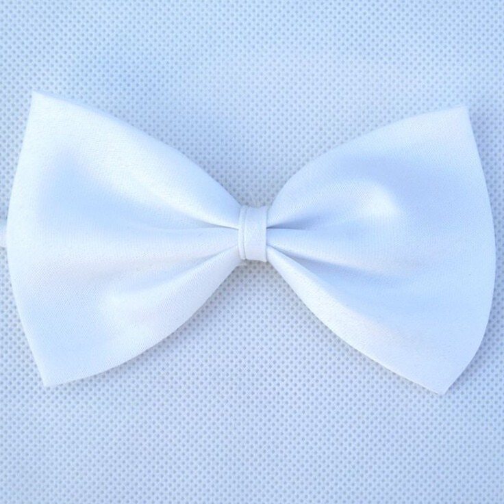 1 Piece Adjustable Pet Neck Bow Tie