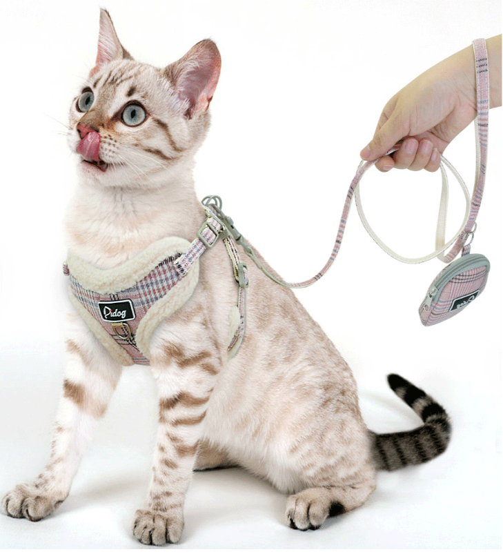 Small Harness Set with Leash and Bag