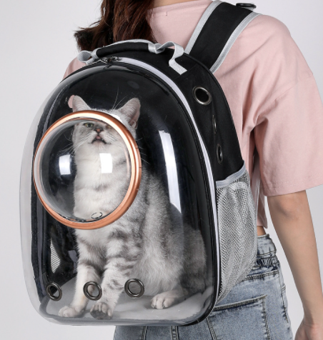 Outdoor Pet Carrying Bag