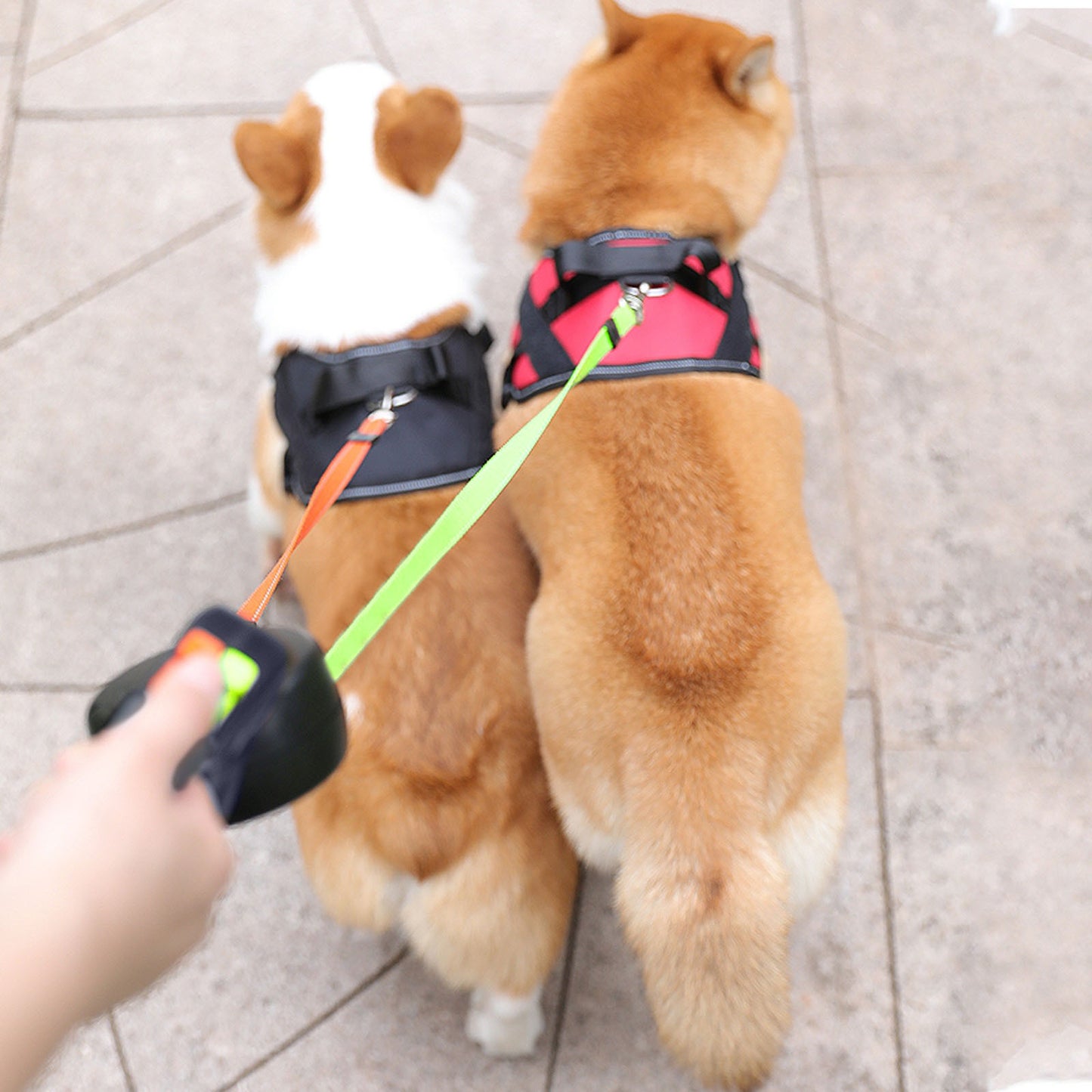 Pet Leash Double Head Rope