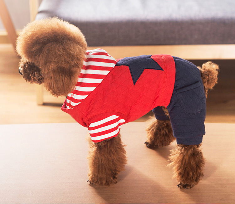 Dog Star Hoodie