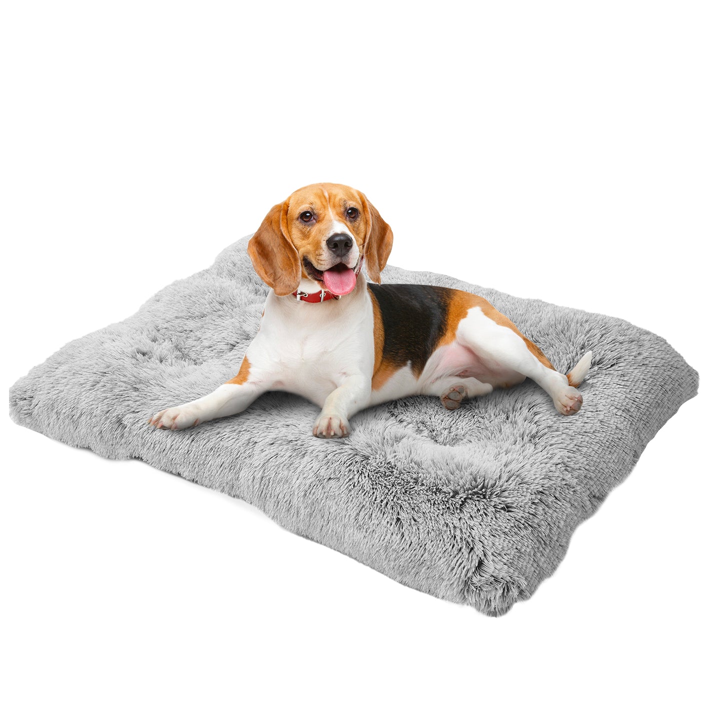 Fluffy Grey Dog Bed