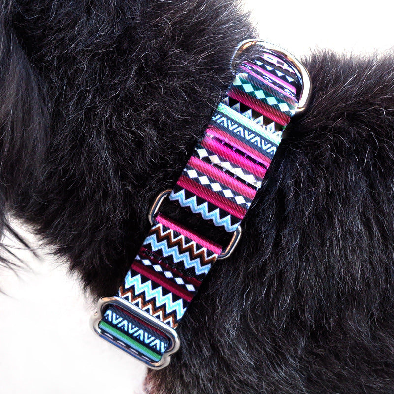 Pink Patterns Dog Collar