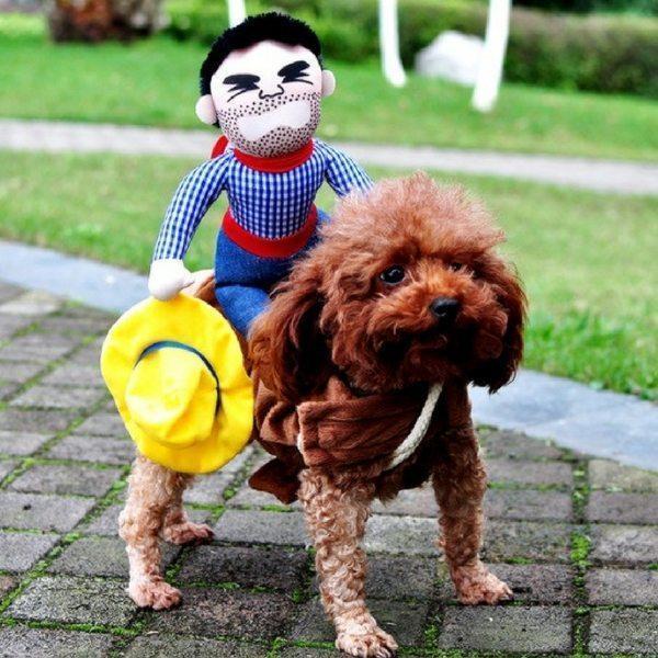 Dog Funny Costume