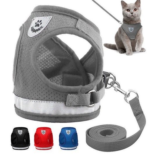 Pet Leash + Mesh Breathable Harness