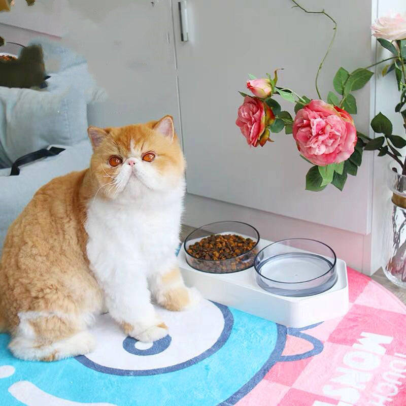 Hexagonal Inclined Pet Bowls