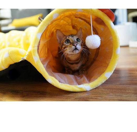 Dragon Cat Tunnel