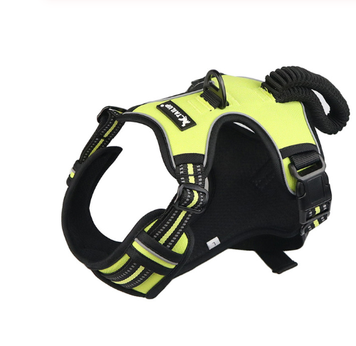 "TAILUP" Neon Harness