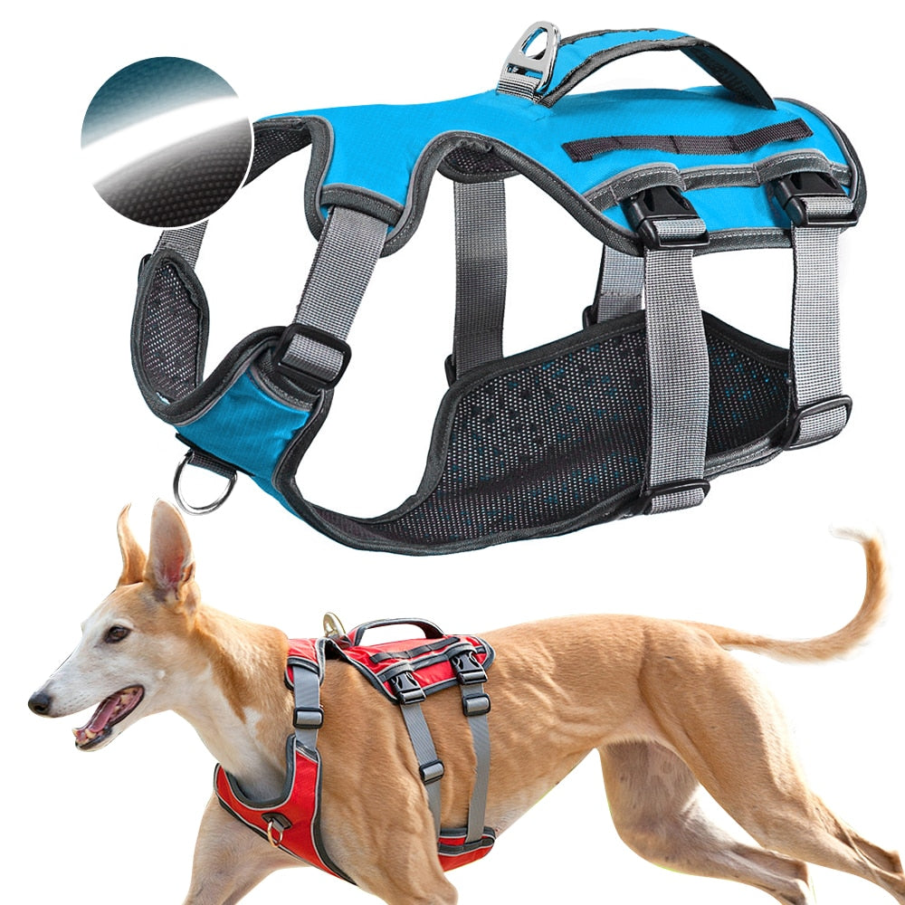 Dog Harness Multi-Color