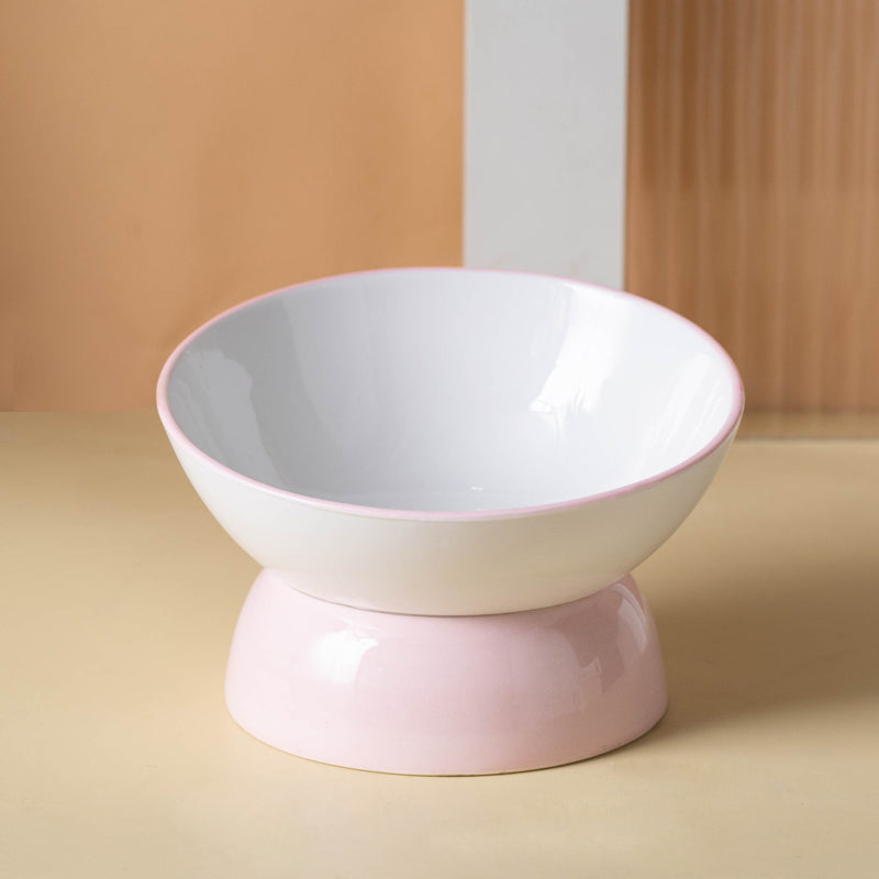 Pet Ceramic Tall Slanted Bowl