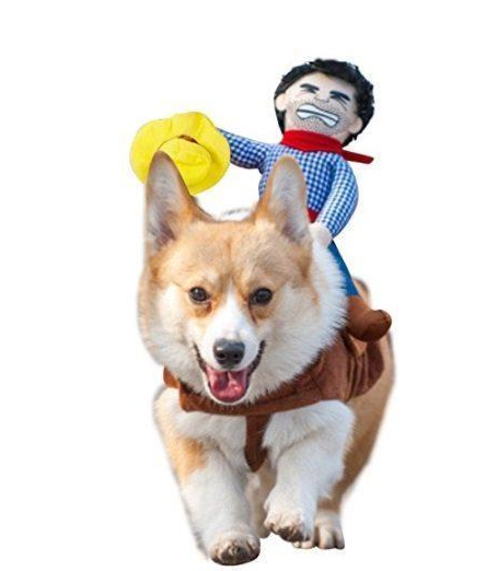 Dog Funny Costume