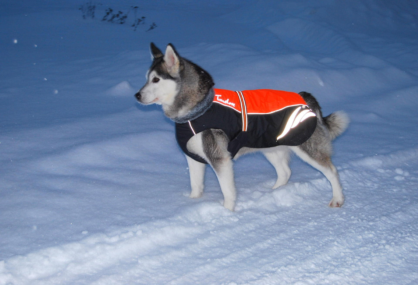 Truelove Warm Neon Vest